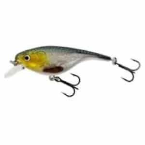 Vobler Westin BabyBite SR crankbait 6,5cm 12g F 1-2m 3D Headlight