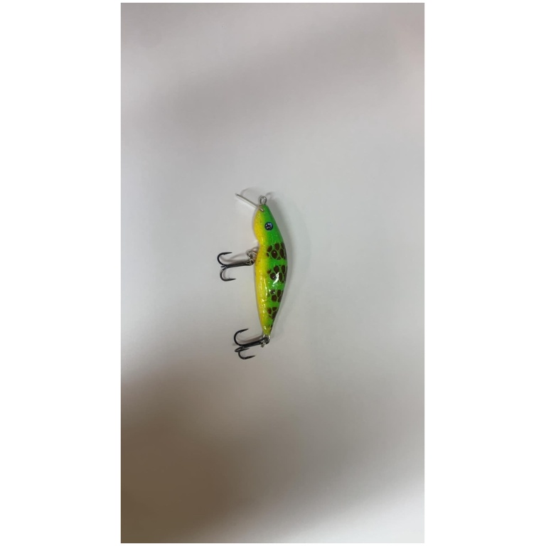 381275918-1013721326413442-6498194379064832587-n