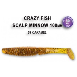 Silicone Crazy-Fish Scalp Minnow 4″ 10cm 4pcs #09