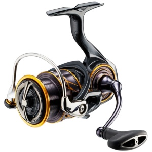 Haspelrull Daiwa CALDIA MQ LT 2022 4000 DC 6BB