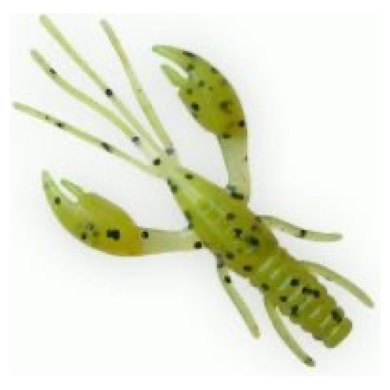 fanatik-raider-022-seaweed-green