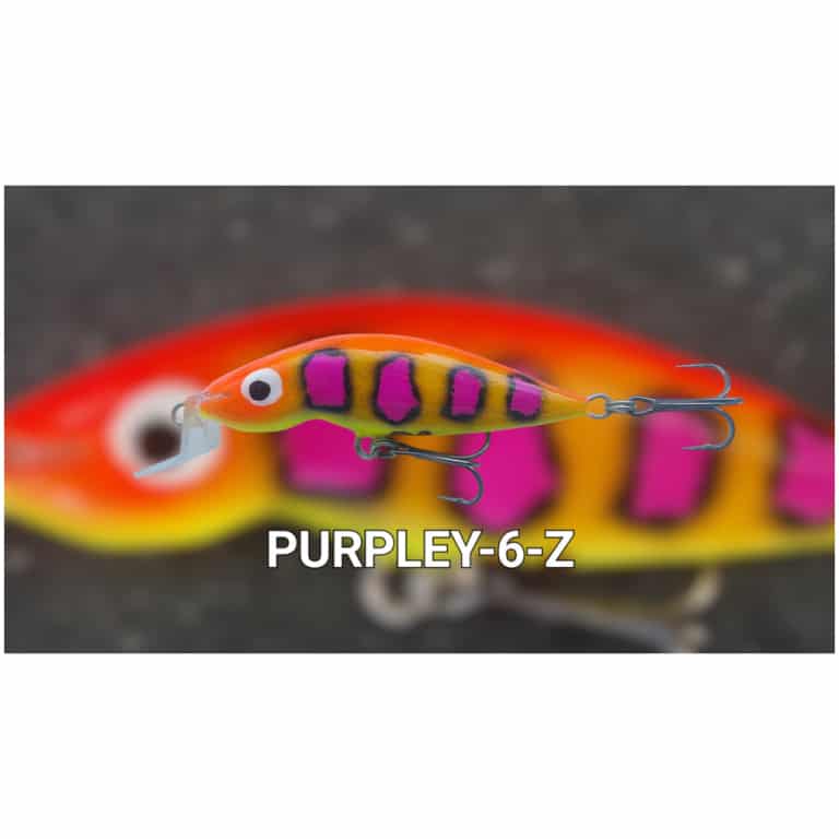 Photoroom-20250223-155024