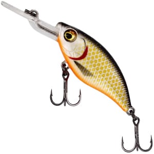 Vobler Westin BuzzBite DR Crankbait F 6,5cm 14g 3-4,5m #Official Roach