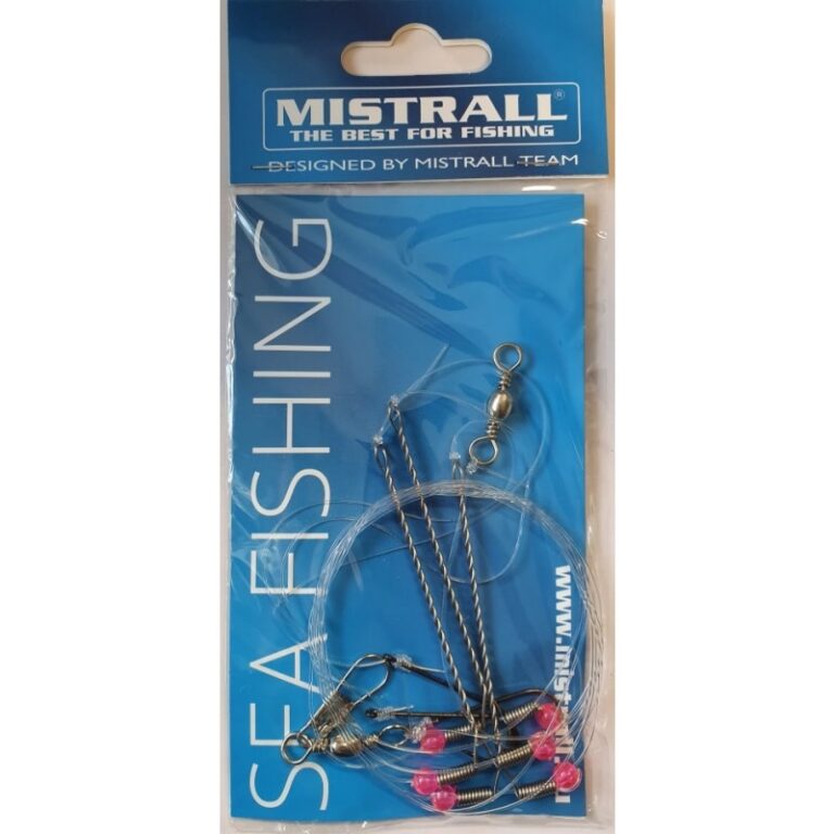 240974717-982961342436061-8502242617267075254-n-2