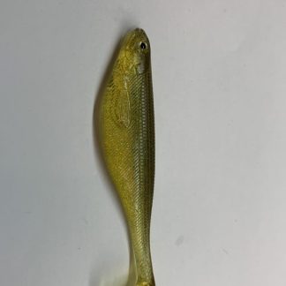 382630533-1473487876559118-3286203655811102893-n